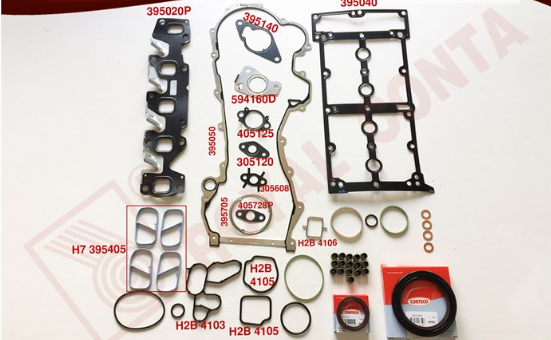 Royal | Roy-T594008 | Tam Takım Conta (Reinz-Corteco Keçe) Fiat 1.3 JTD Euro 5